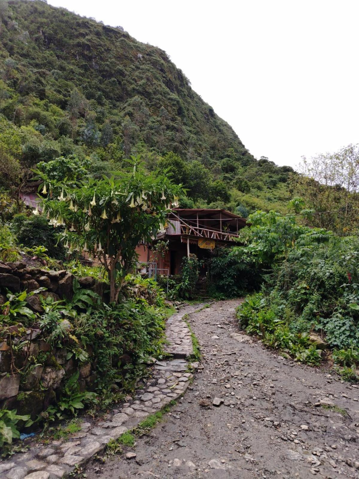 Hostel Samana Wasi Chaullay Cusco Exterior photo